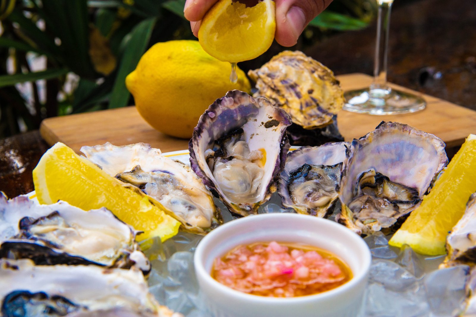 Restaurante Aragon promete ser o novo point gastronômico de Brasília a partir de abril